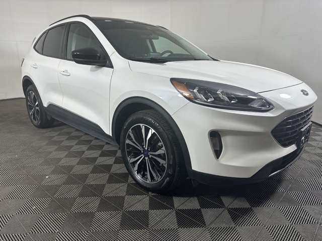 2022 Ford Escape for sale in MT