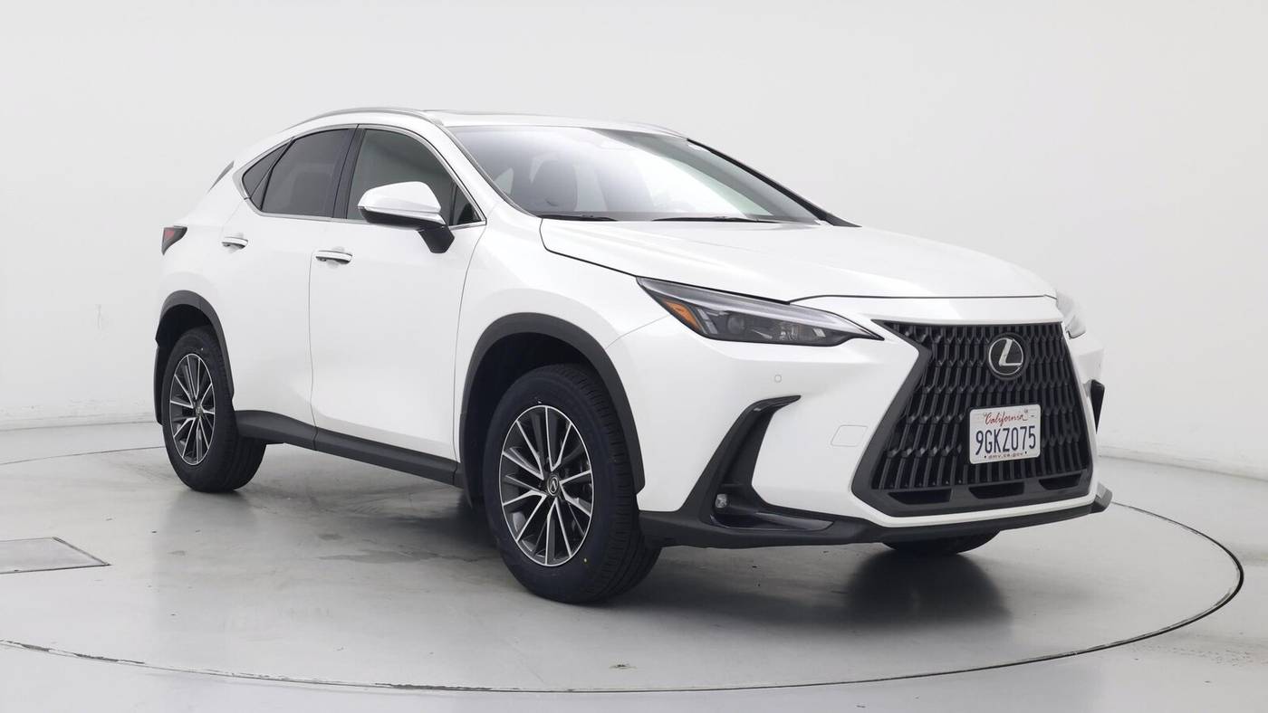 2024 Lexus NX for sale in FL