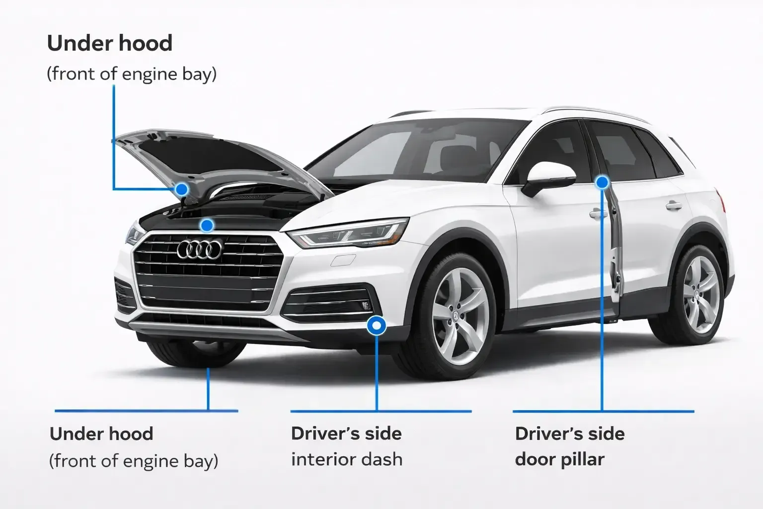 Audi SUV image with hood, dashboard, frame, and door-pillar VIN locations